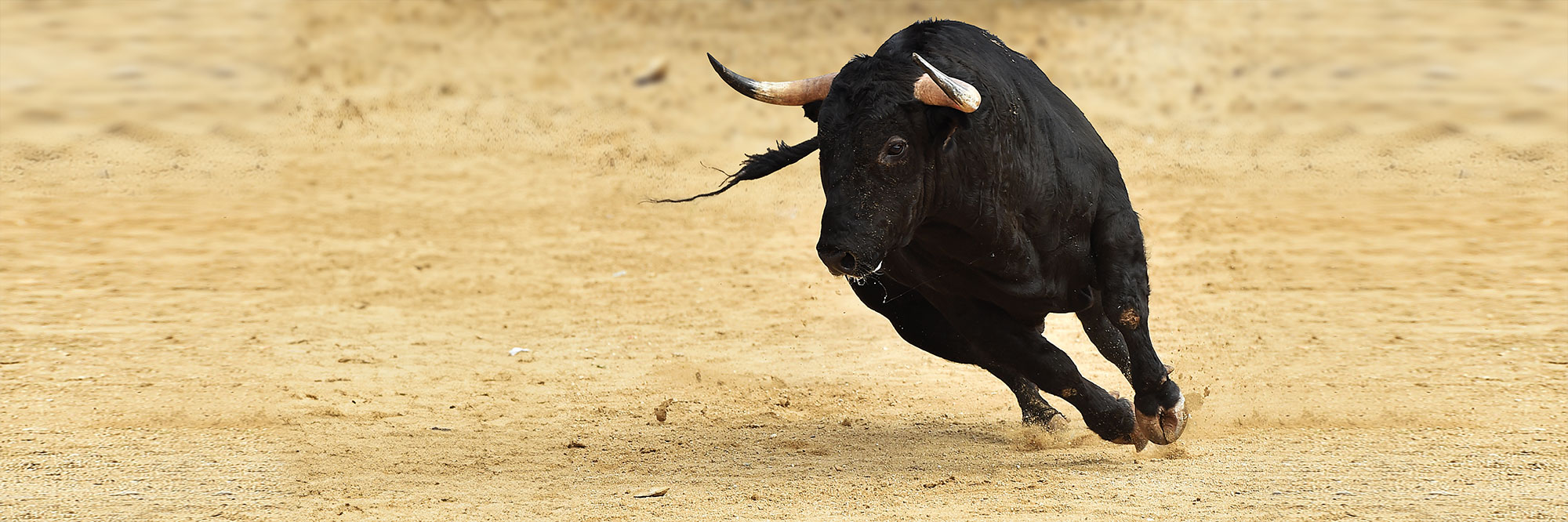 SILVER BULL
